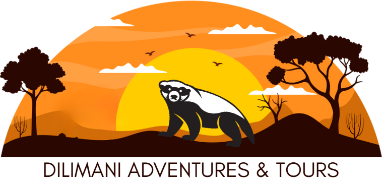 Dilimani Adventures & Tours Logo